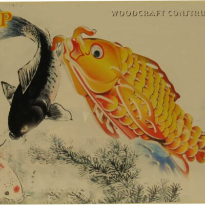 3d Puzzle Carp Color