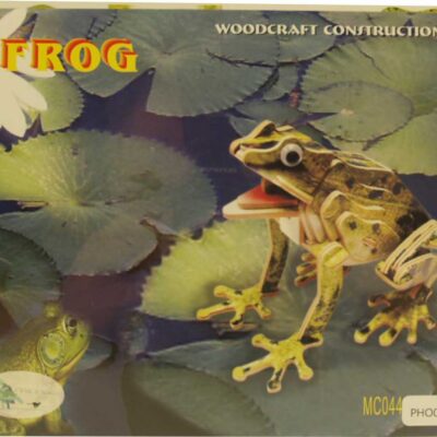 3d Puzzle Frog Color