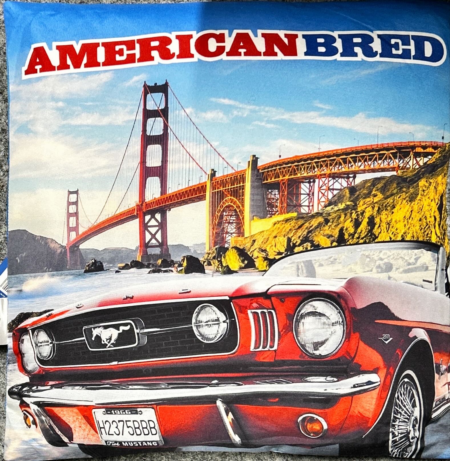 Deze kavel loopt af precies één week na
  het eerste bod.5 Kussens met automotieven - Afbeelding 2